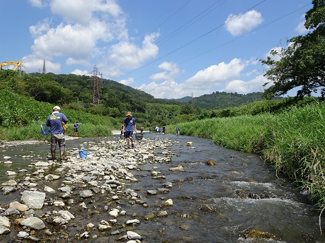 活動状況