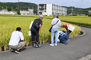 観察の様子