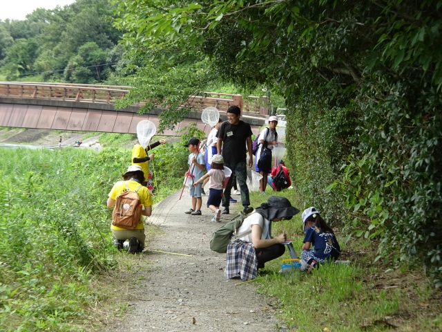 トンボを捕まえたり、記録する参加者たち