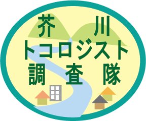 芥川トコロジスト調査隊