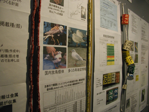 C15カラーマーキング鳥類調査グループ・関西