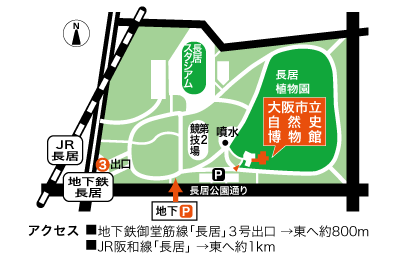 アクセス。地下鉄御堂筋線、長居駅３号出口を出て東へ800m。JR阪和線、長居駅から東へ1000m