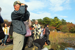 画像:日本野鳥の会大阪支部によるバードウォッチング入門講座