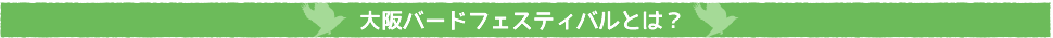 タイトル:大阪バードフェスティバルってなあに