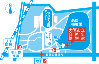 大阪市立自然史博物館内MAP