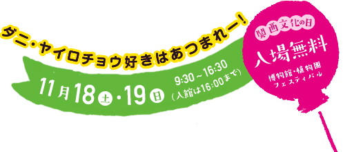 関西文化の日 常設展・植物園・フェスティバル 入場無料！