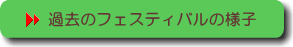 過去のフェスティバルの様子