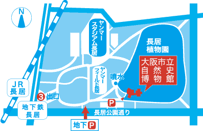 大阪市立自然史博物館内MAP