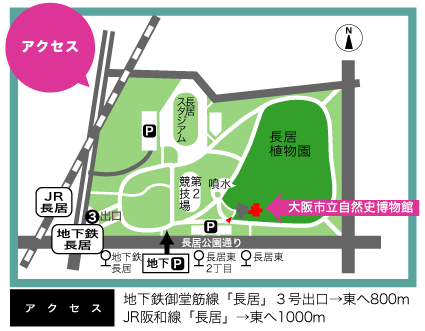 アクセス。地下鉄御堂筋線、長居駅３号出口を出て東へ800m。JR阪和線、長居駅から東へ1000m