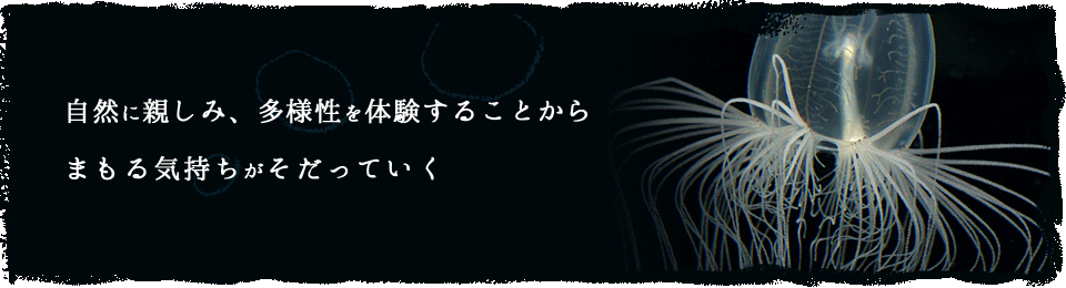 自然に親しみ、多様性を体験することからまもる気持ちがそだっていく