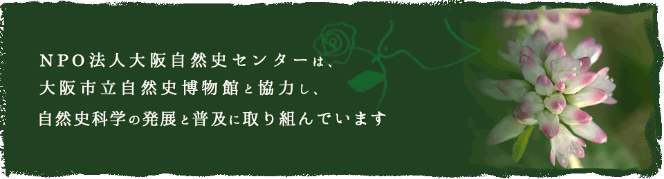 NPO法人大阪自然史センターは、大阪自然史センターと協力し、自然史科学の発展と普及に取り組んでいます
