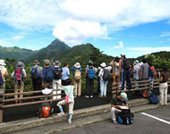 画像:お泊り観察会「合宿」