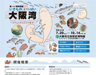 画像:第44回特別展 いきもの　いっぱい　大阪湾　～フナムシからクジラまで～
