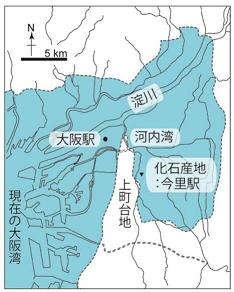 図２：化石産地の地図。水色で示されているのは完新世に平野に入り込んでいた海。（本研究で発表した論文Tanaka and Taruno, 2017より改変）.jpg