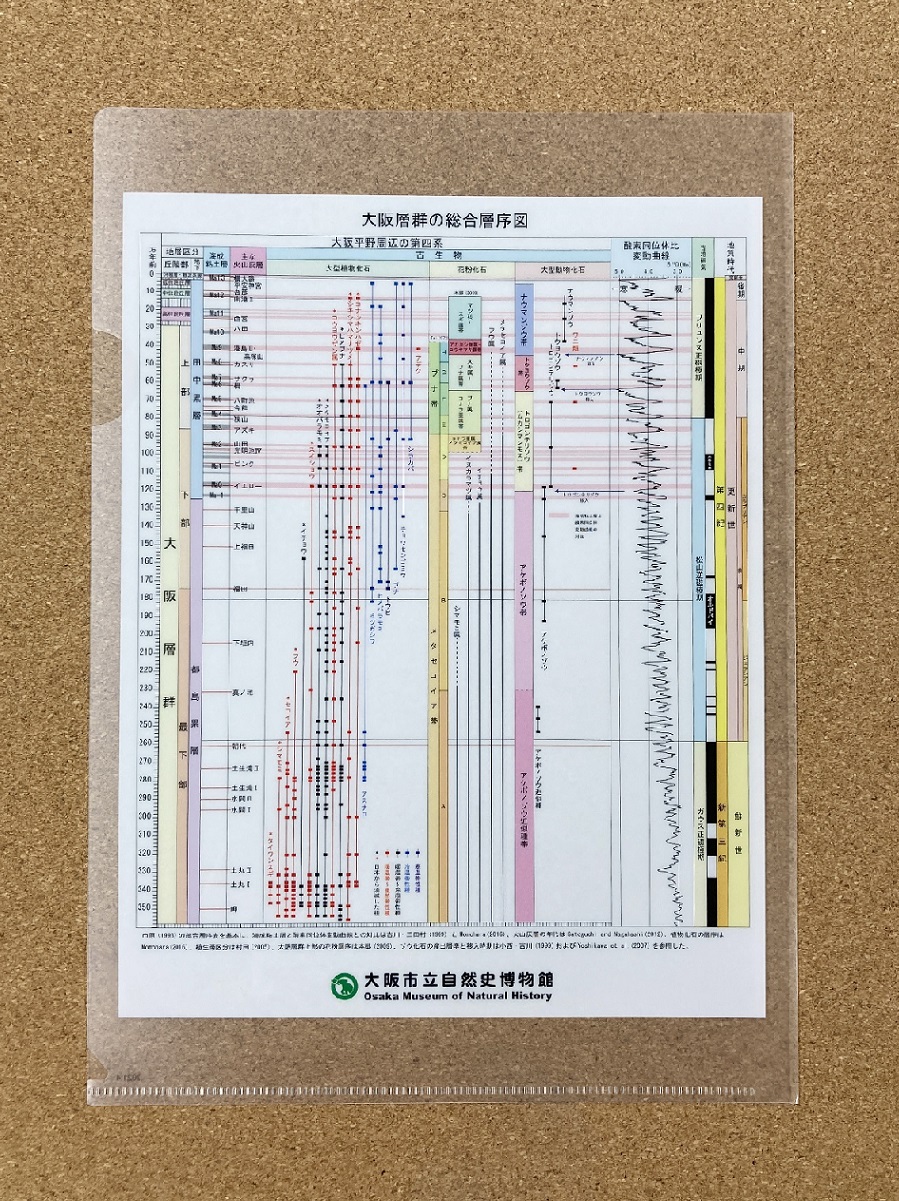 大阪層群の総合層序図クリアファイル.jpg