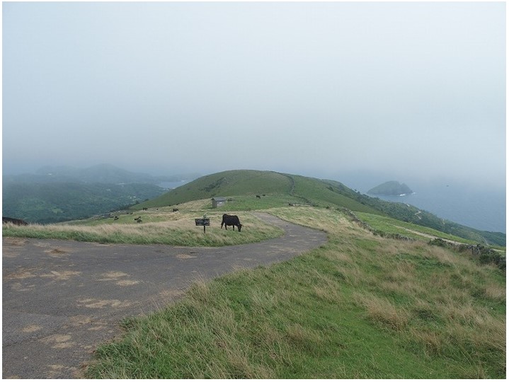 知夫里島論文_博物館新着情報_画像.jpg