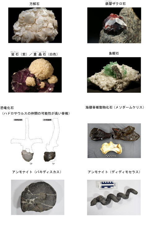 石は地球のワンダー展_展示.jpg