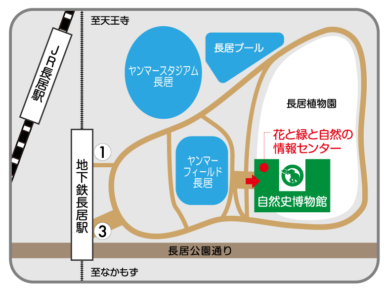 MAP（省略ver.）ol.png