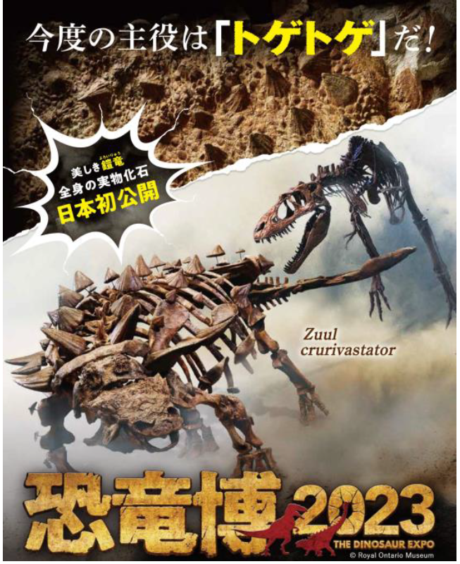 巨大恐竜展 2024のオリジナルグッズ🦕 会場内の特設ショップにて