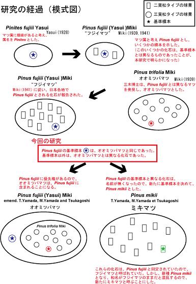 Amazon.co.jp: 樹皮の文化史 (歴史文化セレクション) : 名久井