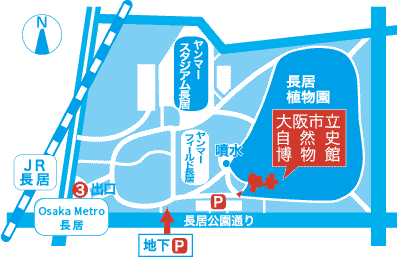 大阪市立自然史博物館内MAP